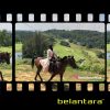 Arrouha Rentas Belantara Full Package Traditional Archery Bow and Arrow - Image 8