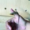 Traditional Archery Brass Thumb Ring For Thumb Technique - Image 8